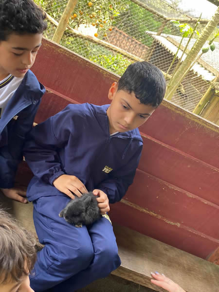 Bicho Mania 2022